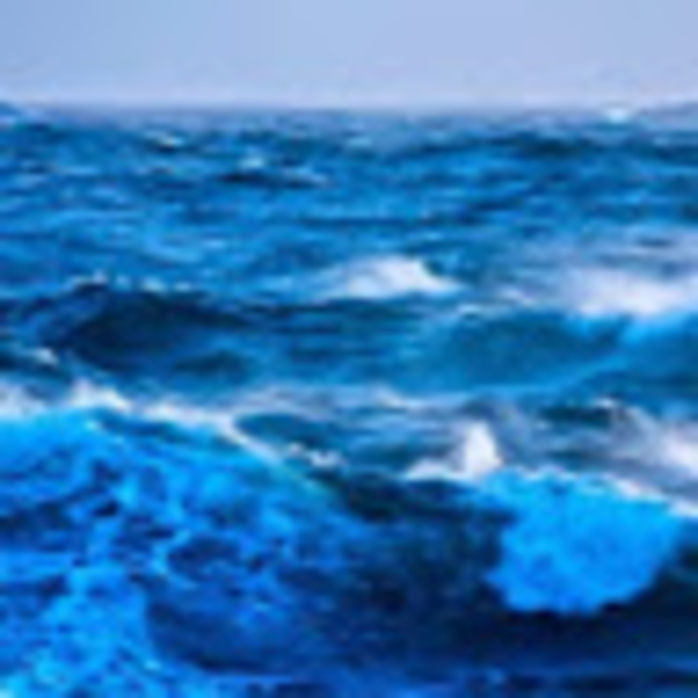 Meet your Posher, Deupree